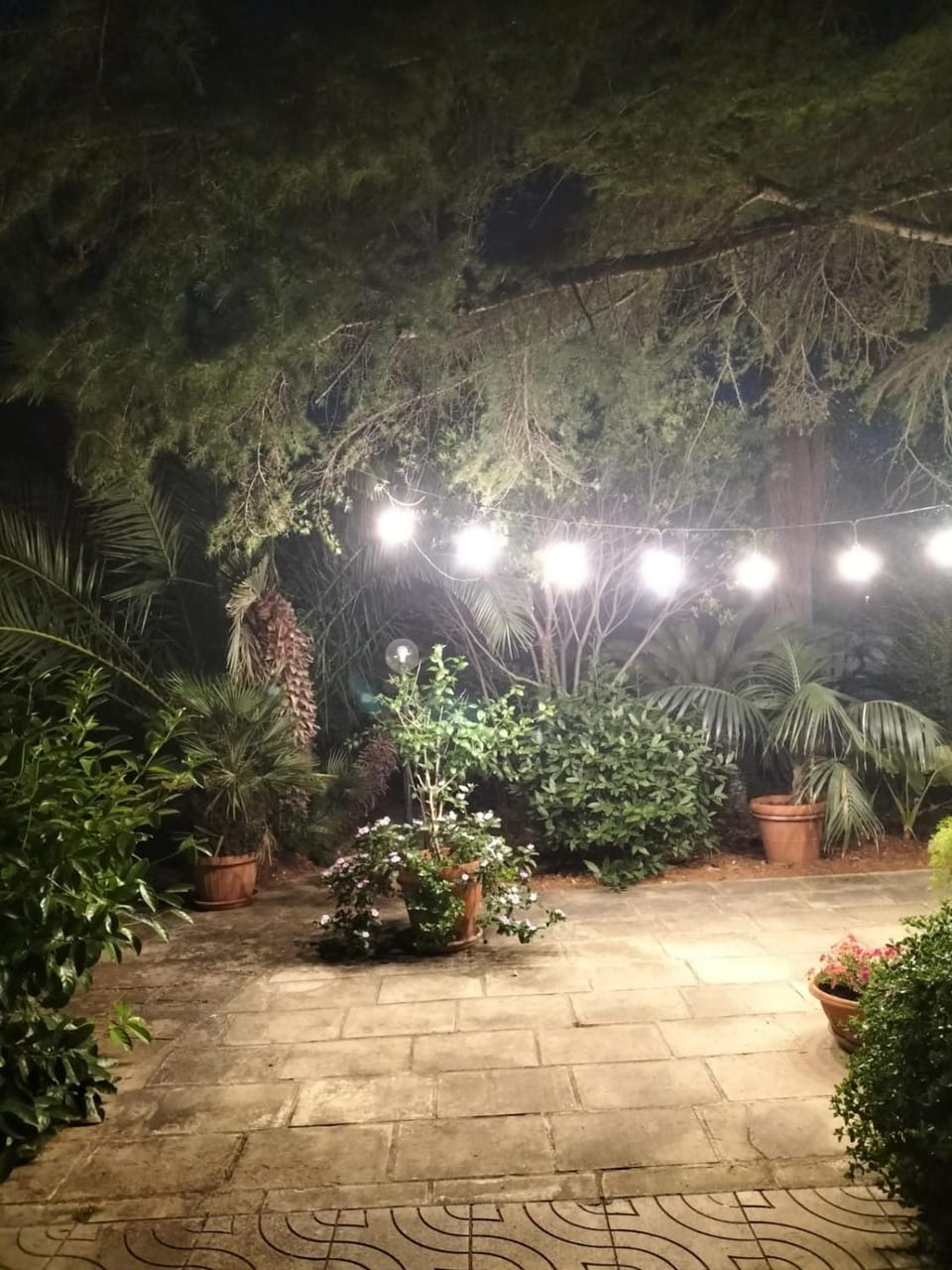Restaurant/places to eat, Garden view