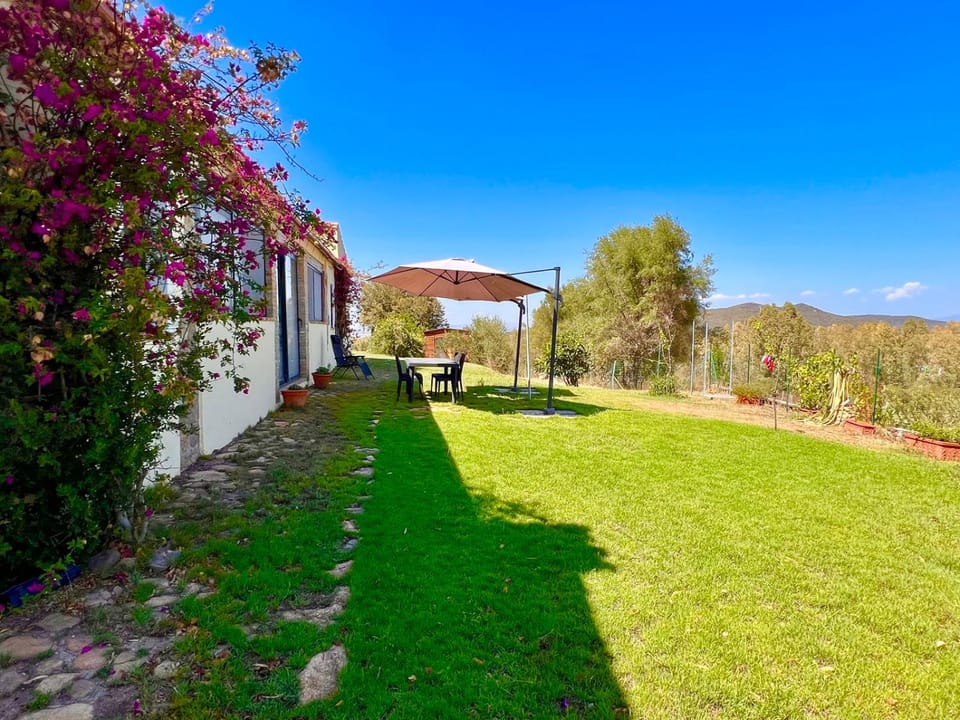 Property building, Spring, Day, Natural landscape, Garden, Garden view