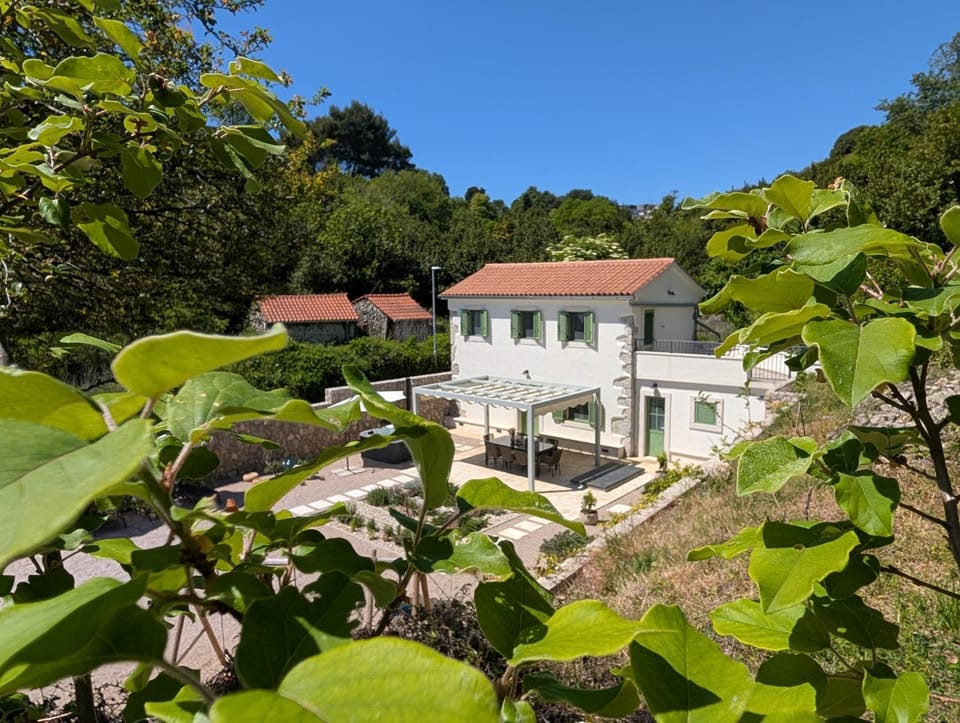 Property building, Garden, Garden view