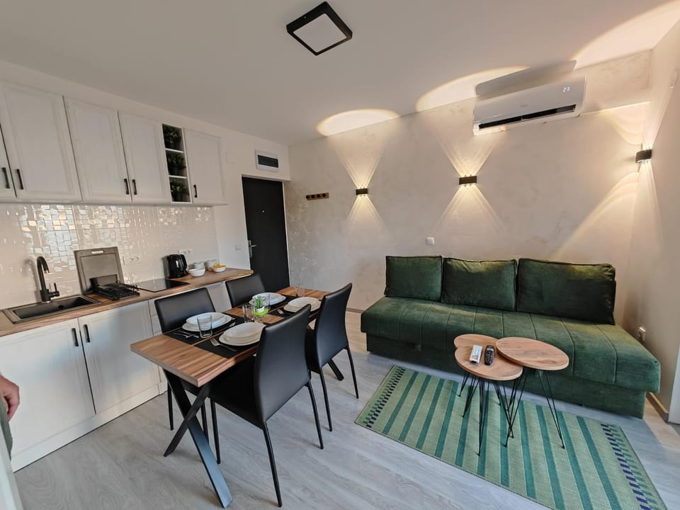 Bed, Kitchen or kitchenette, Living room, Photo of the whole room, Seating area, Dining area, pet friendly, stove, air conditioner