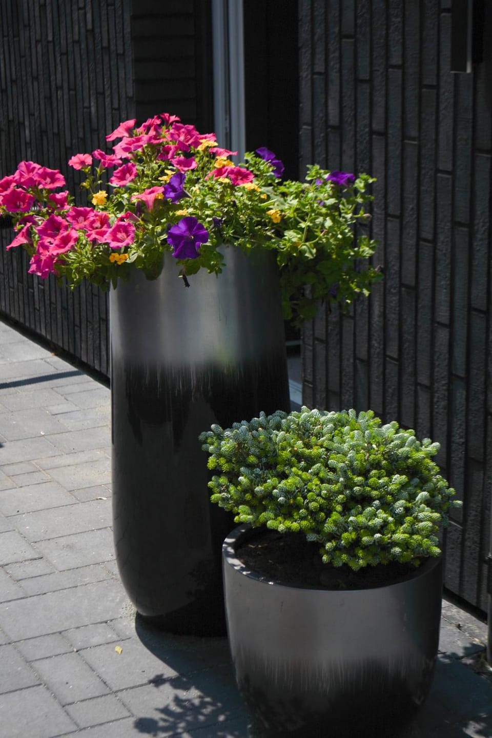 Garden, Garden, Garden view