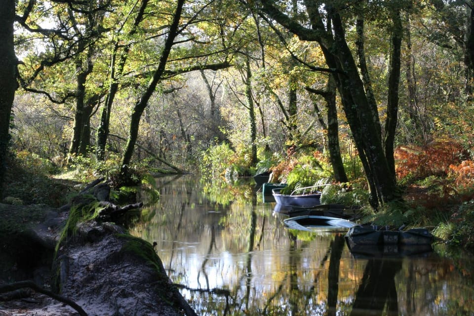River view