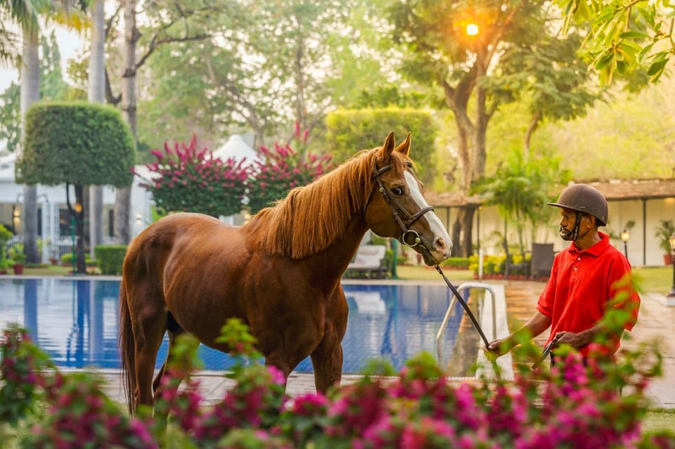 Jehan Numa Palace Hotel Hotel in India