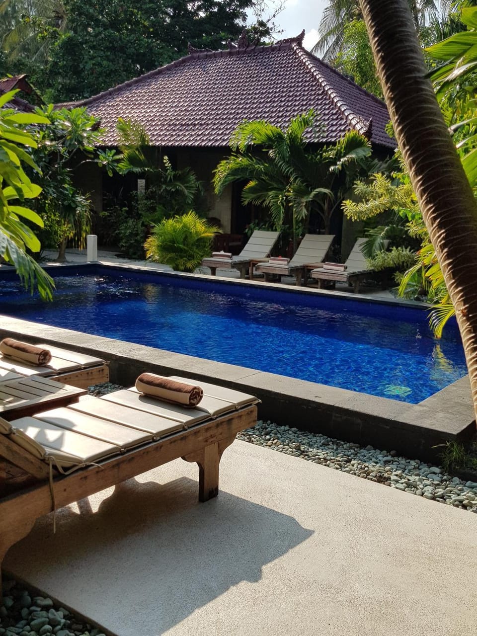 Swimming pool, Swimming pool
