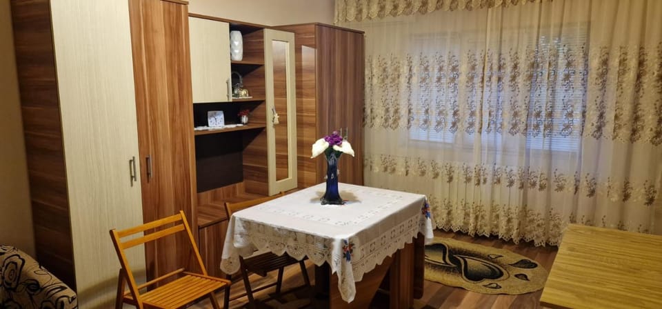 Apartament Ioana Apartment in Timisoara