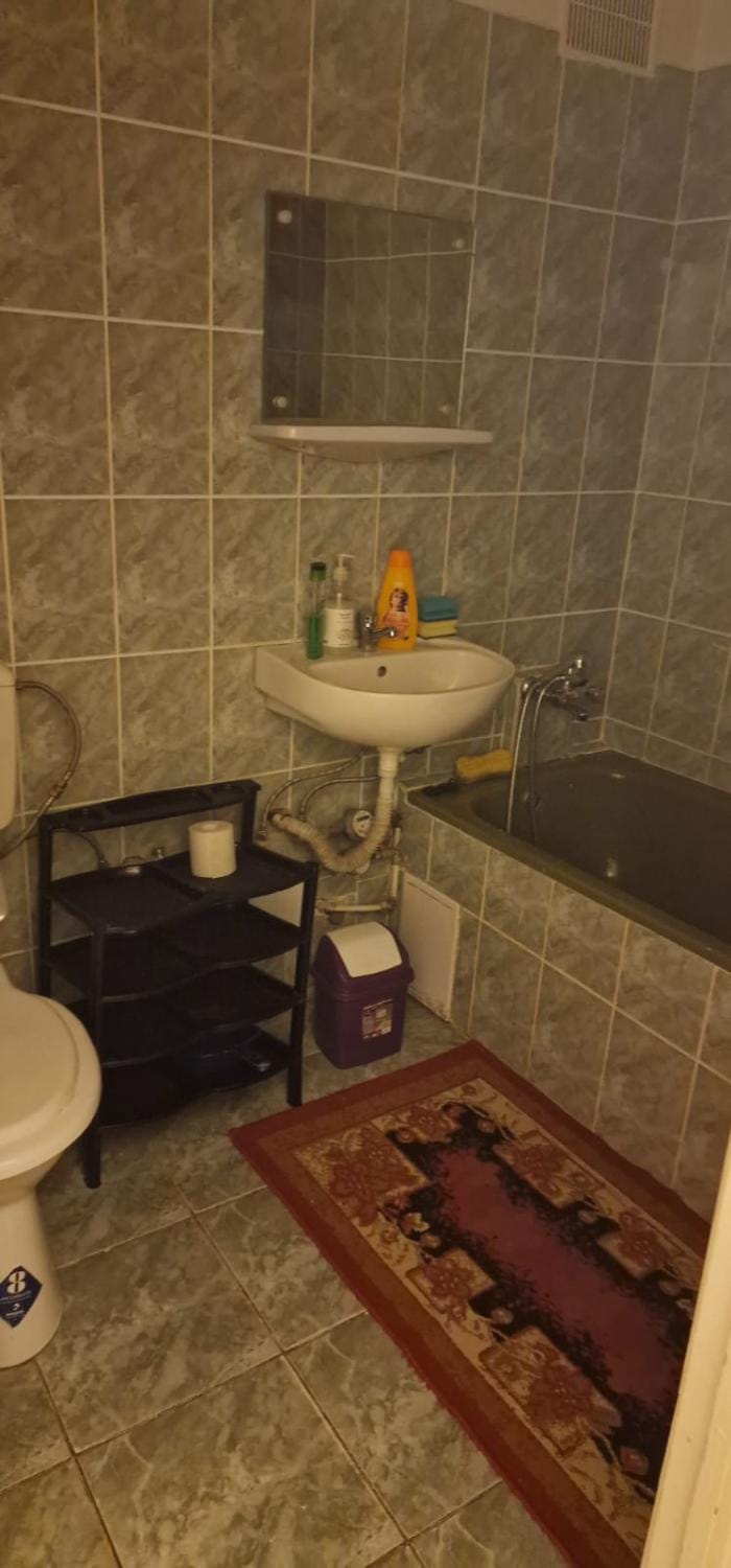 Apartament Ioana Apartment in Timisoara