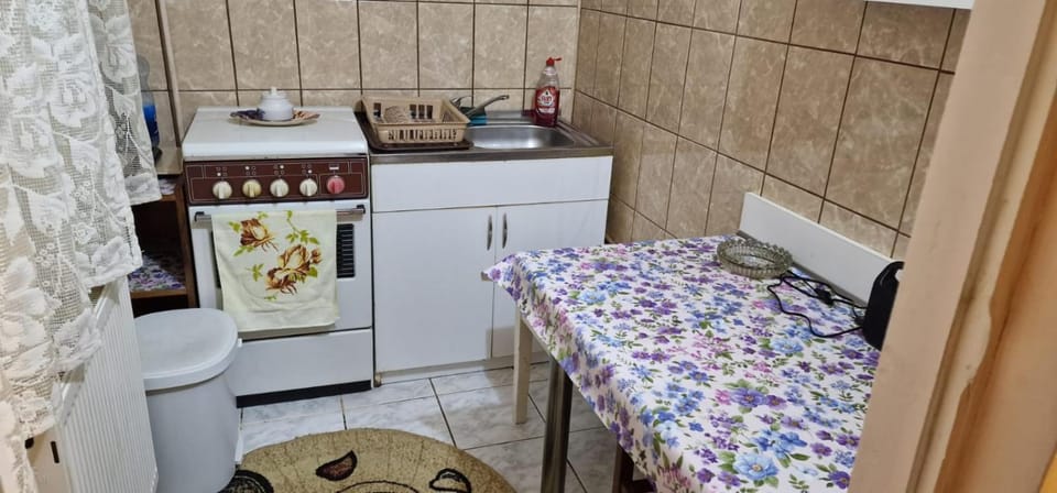 Apartament Ioana Apartment in Timisoara