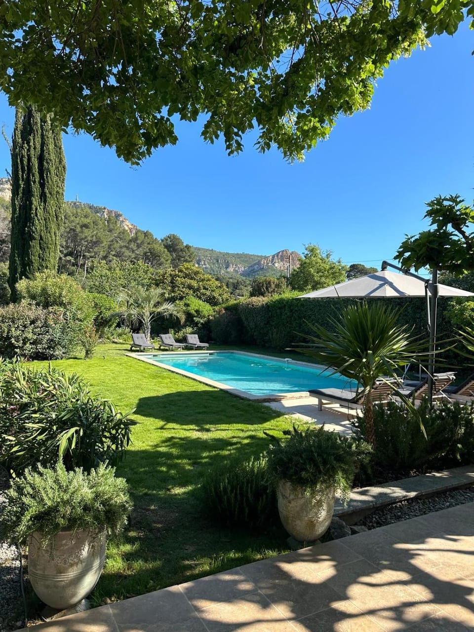 Natural landscape, Garden, Swimming pool