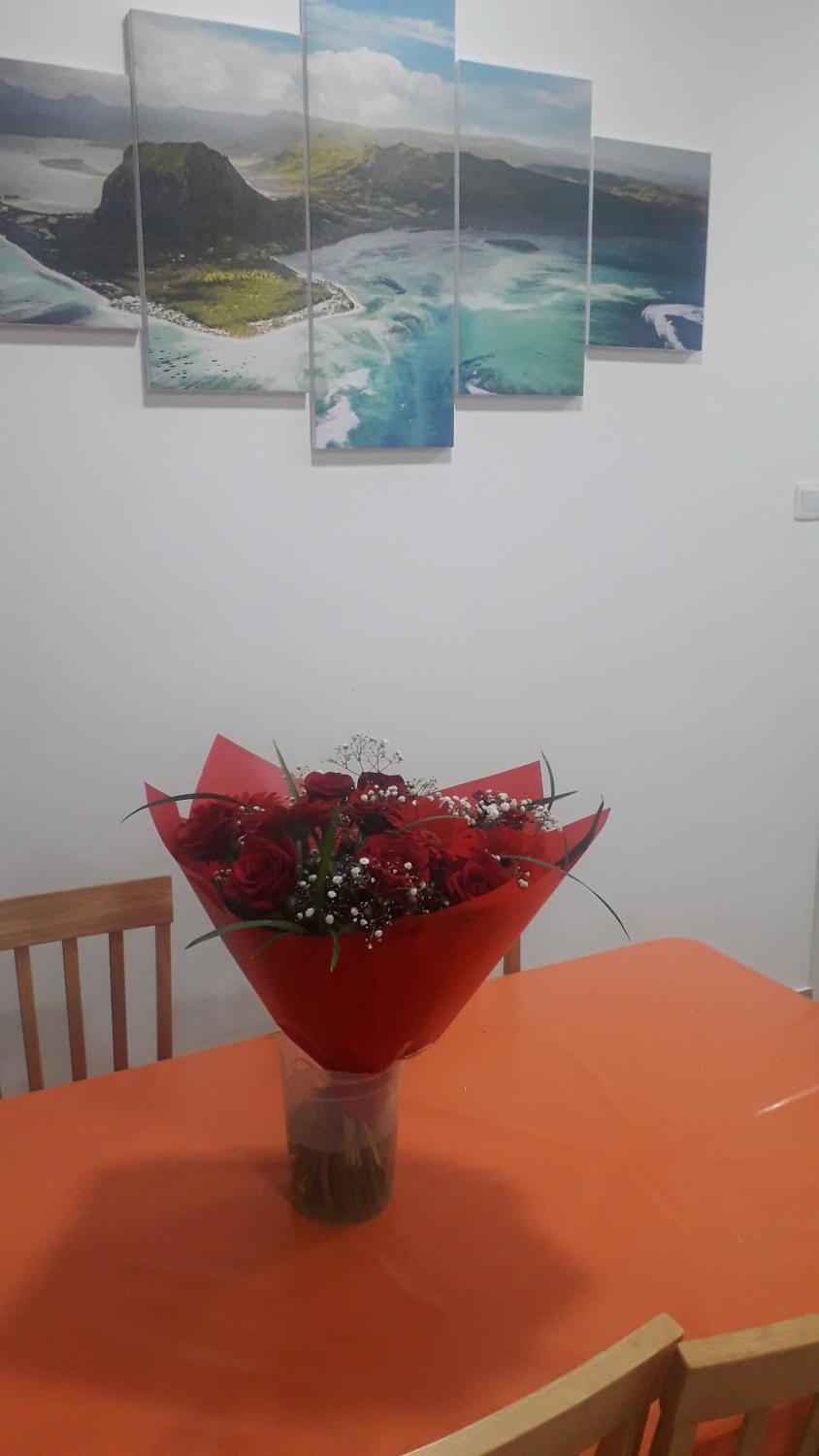 Arc en Ciel 1 - 3 bedrooms Private Appartment Apartment in Flic en Flac