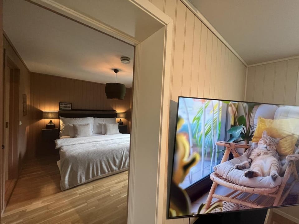 Bed, TV and multimedia, Bedroom