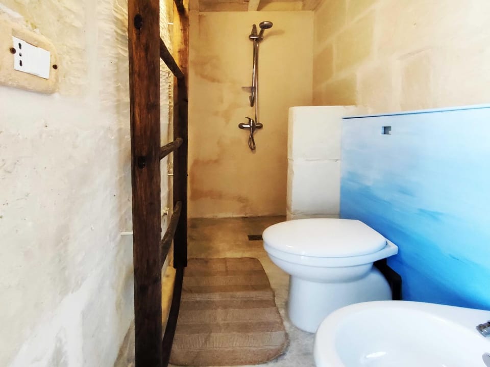 Toilet, Bathroom, bidet
