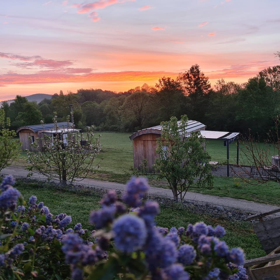 Natural landscape, Garden view, Sunrise