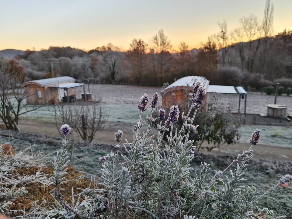 Natural landscape, Winter, Garden view, Mountain view
