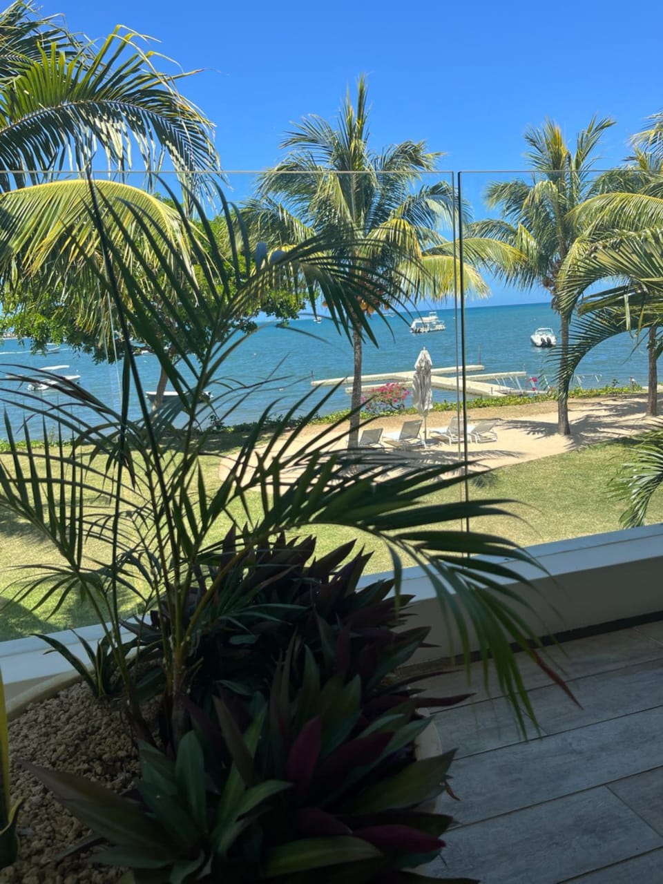 Garden, Garden, Garden view, Sea view