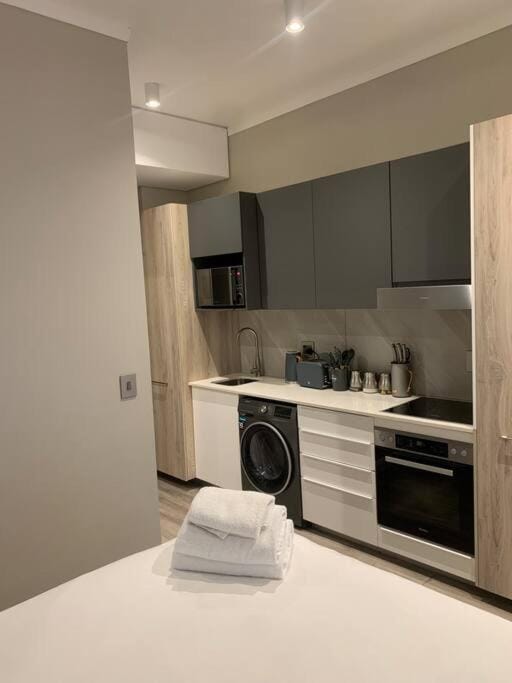 Kitchen or kitchenette, stove, washing machine
