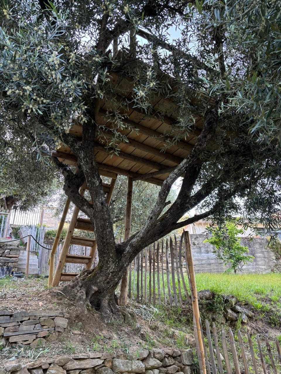 maison du olival House in Vila Real District