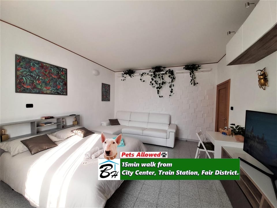 TV and multimedia, Photo of the whole room, Bedroom, locker, air conditioner