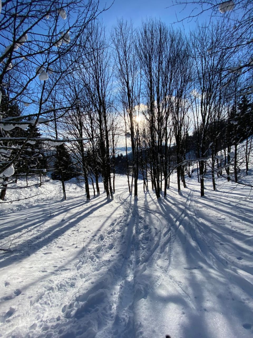 le clos grillet Bed and Breakfast in Saint-François-Longchamp