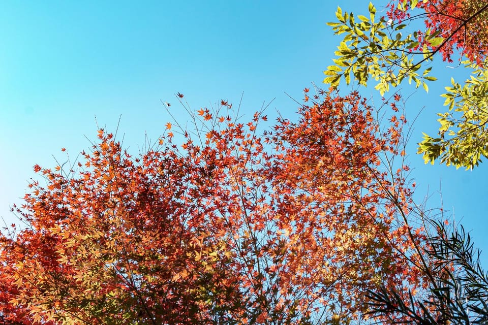 AMAO VILLA 伊豆高原 Villa in Shizuoka Prefecture