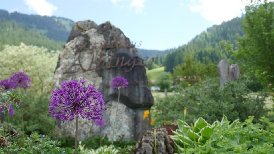Natural landscape, Garden, Garden view, Mountain view