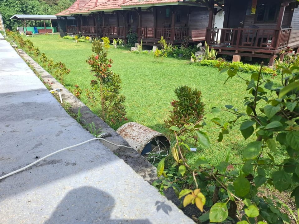 Property building, Spring, Day, Garden view
