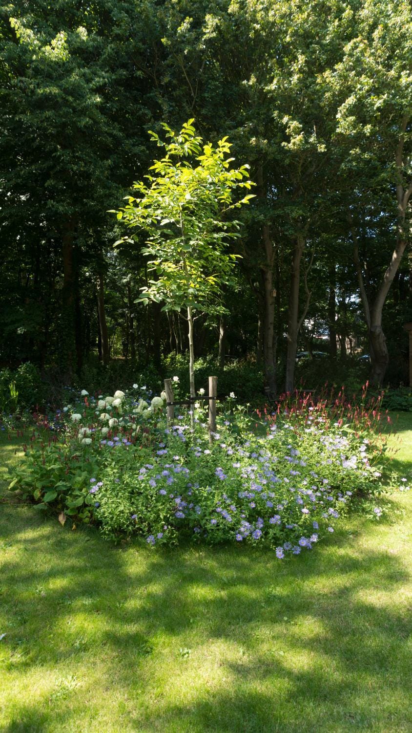 Garden, Garden view
