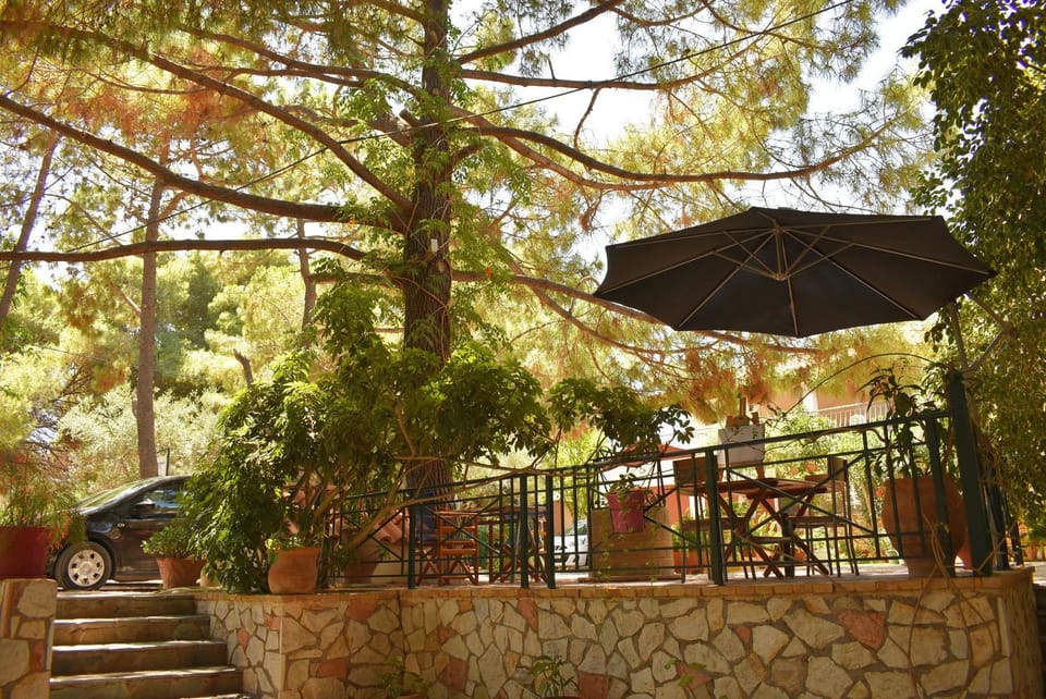 Patio, Garden, Balcony/Terrace