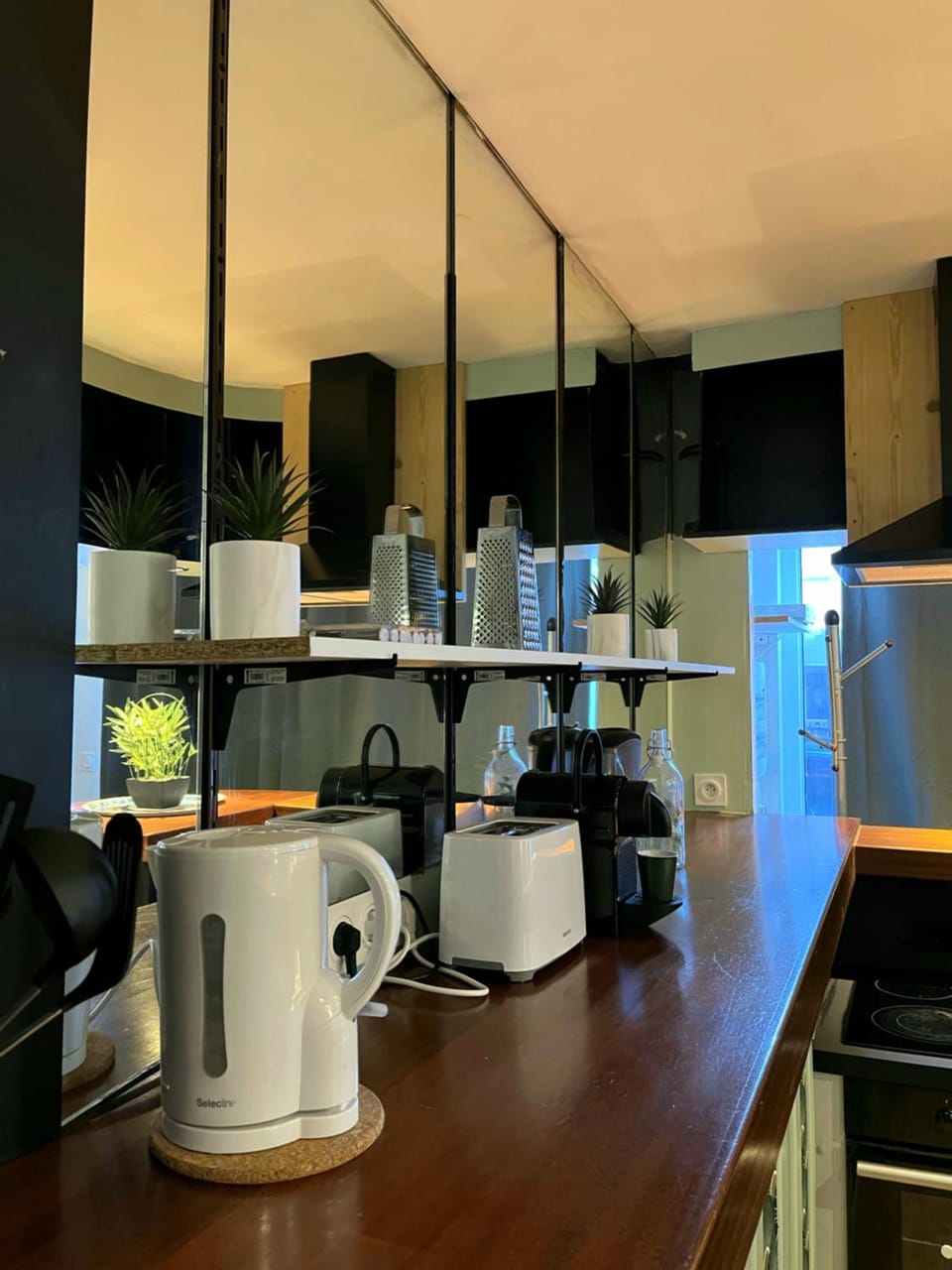 Coffee/tea facilities, dishwasher, minibar, pet friendly, stove, toaster