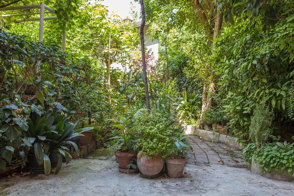 Garden, Garden, Garden view