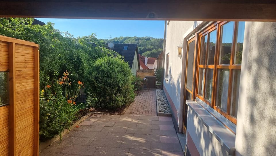 Property building, Day, Garden