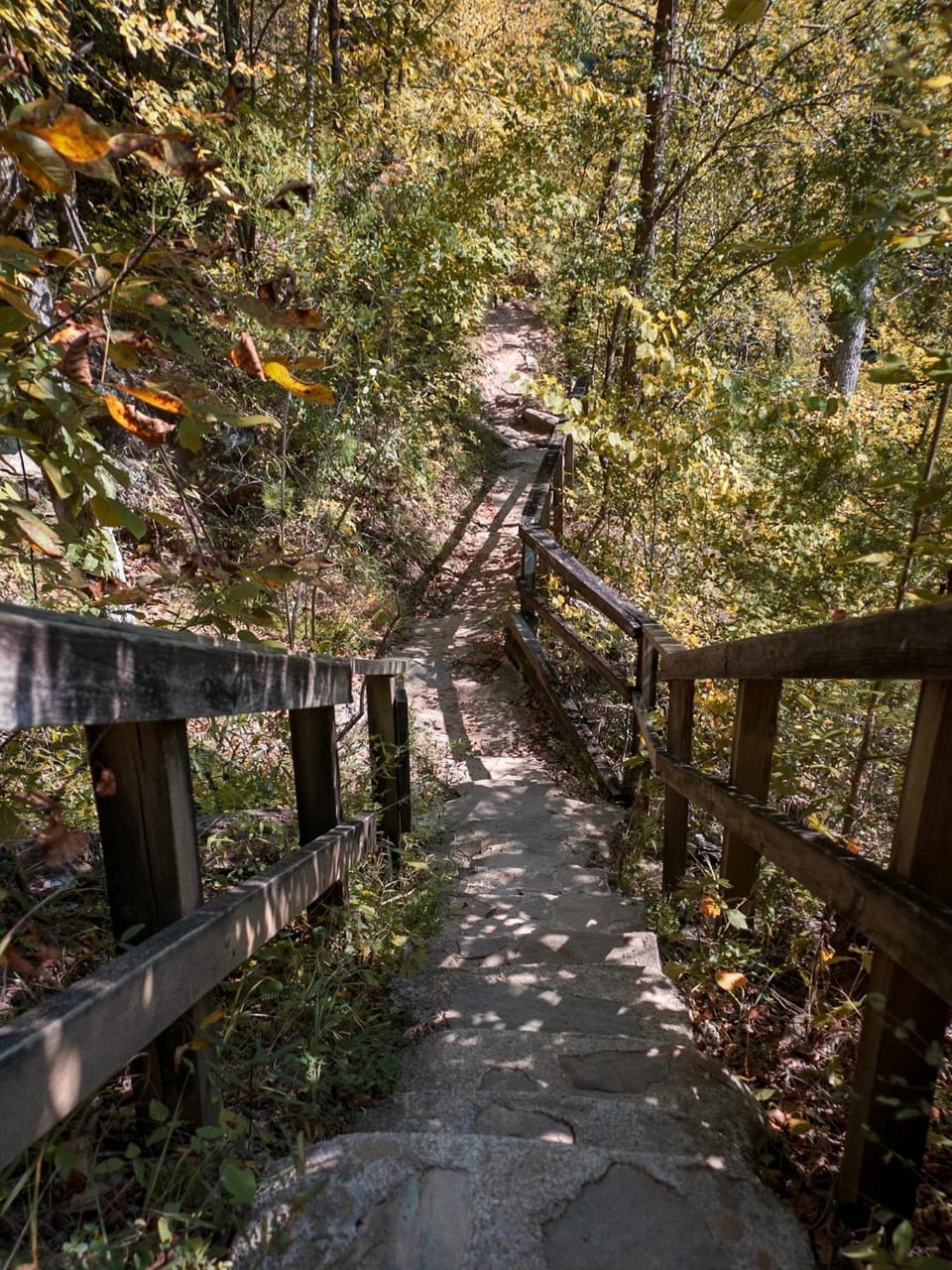 Natural landscape, Activities