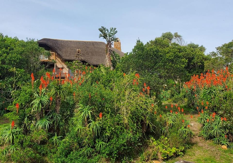 Oysterbay Nature Retreat House in Eastern Cape
