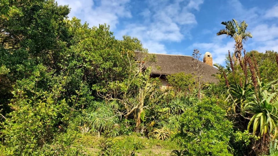 Oysterbay Nature Retreat House in Eastern Cape