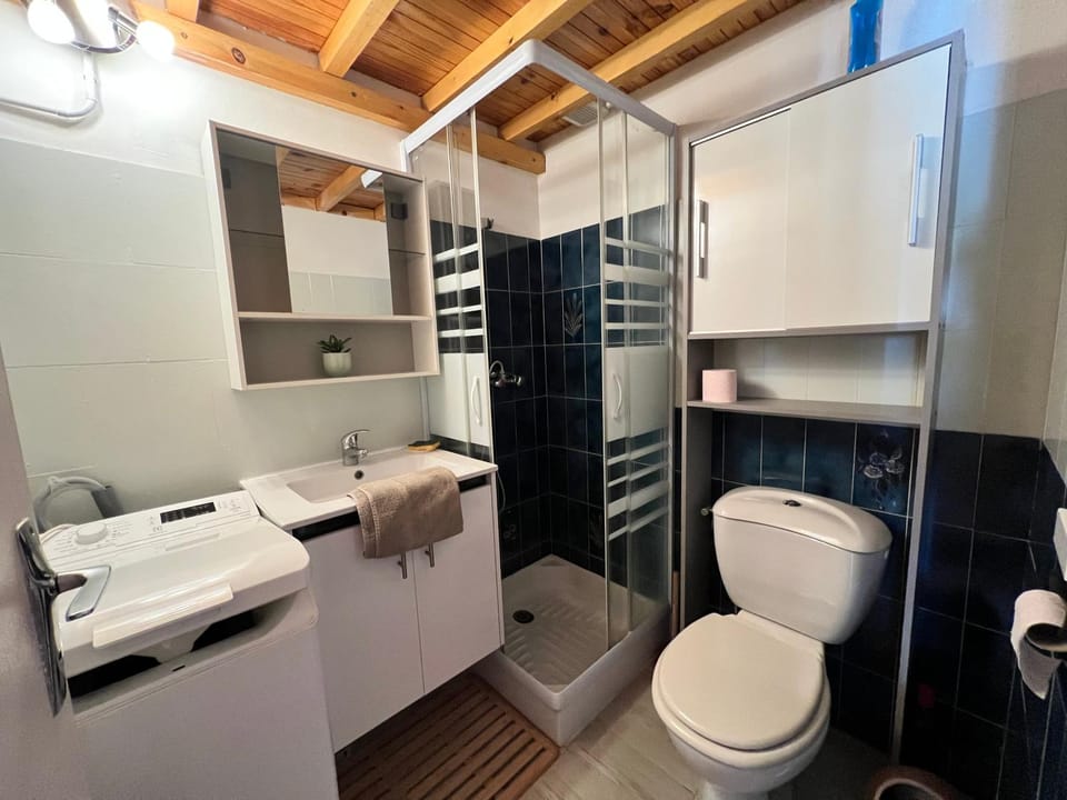 Shower, Toilet
