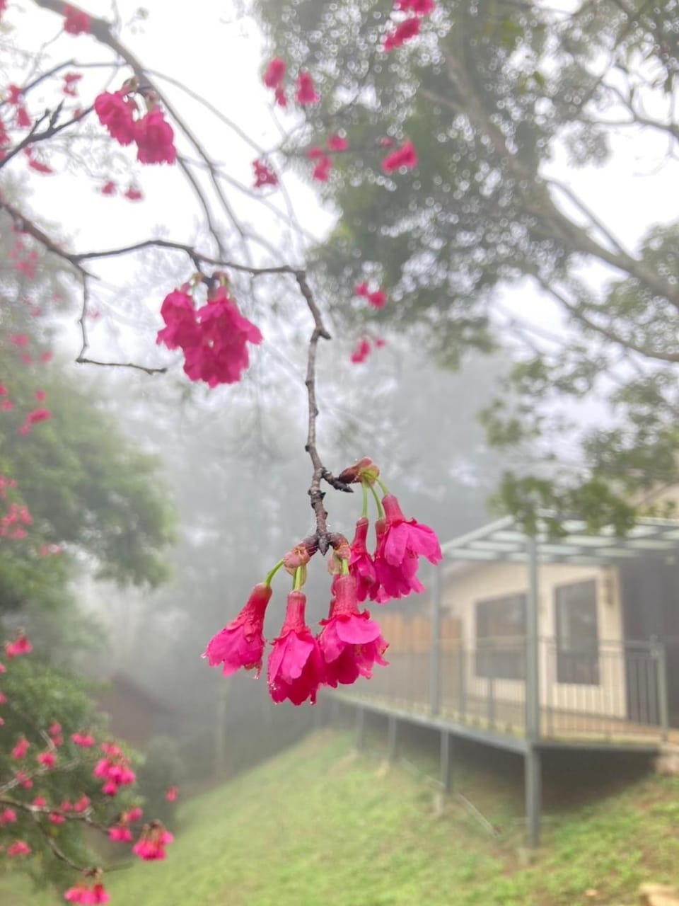 Xianyan Villa B&B Villa in Taiwan, Province of China