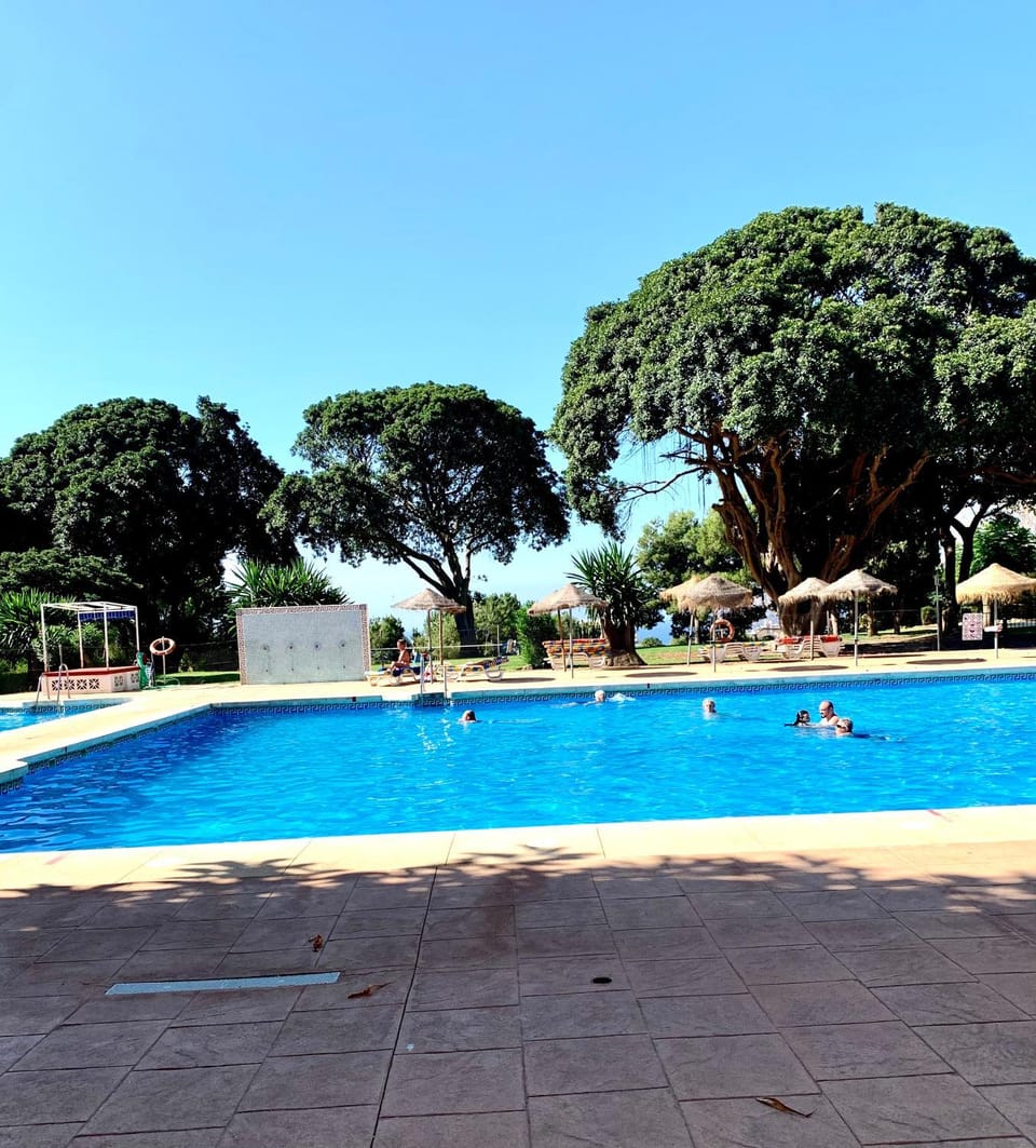 Swimming pool, Swimming pool