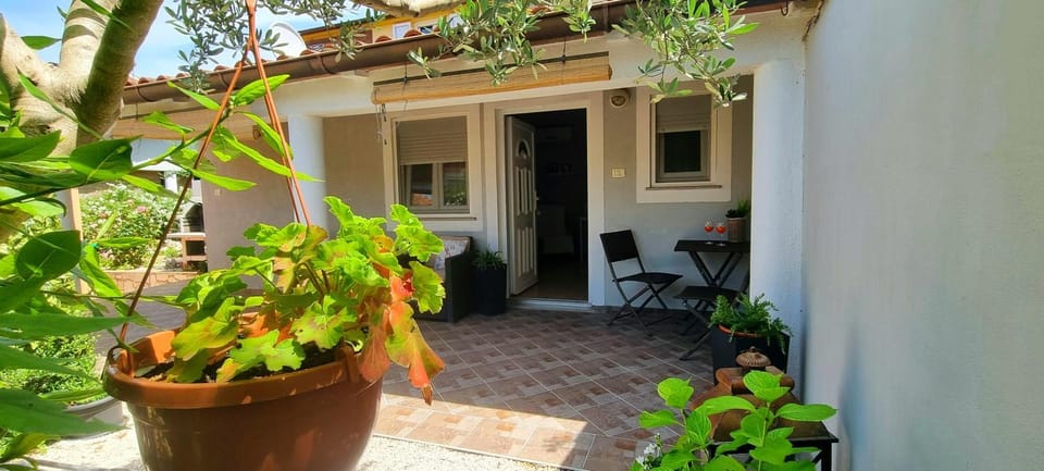Cozy and Lovely guest house Veli Vrh near Pula Apartment in Pula