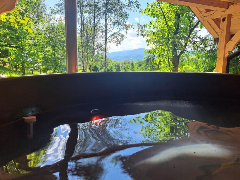 Natural landscape, Hot Tub, Mountain view