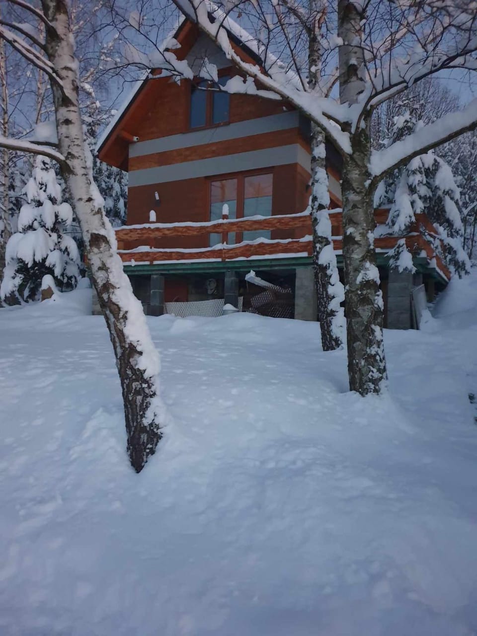 Winter