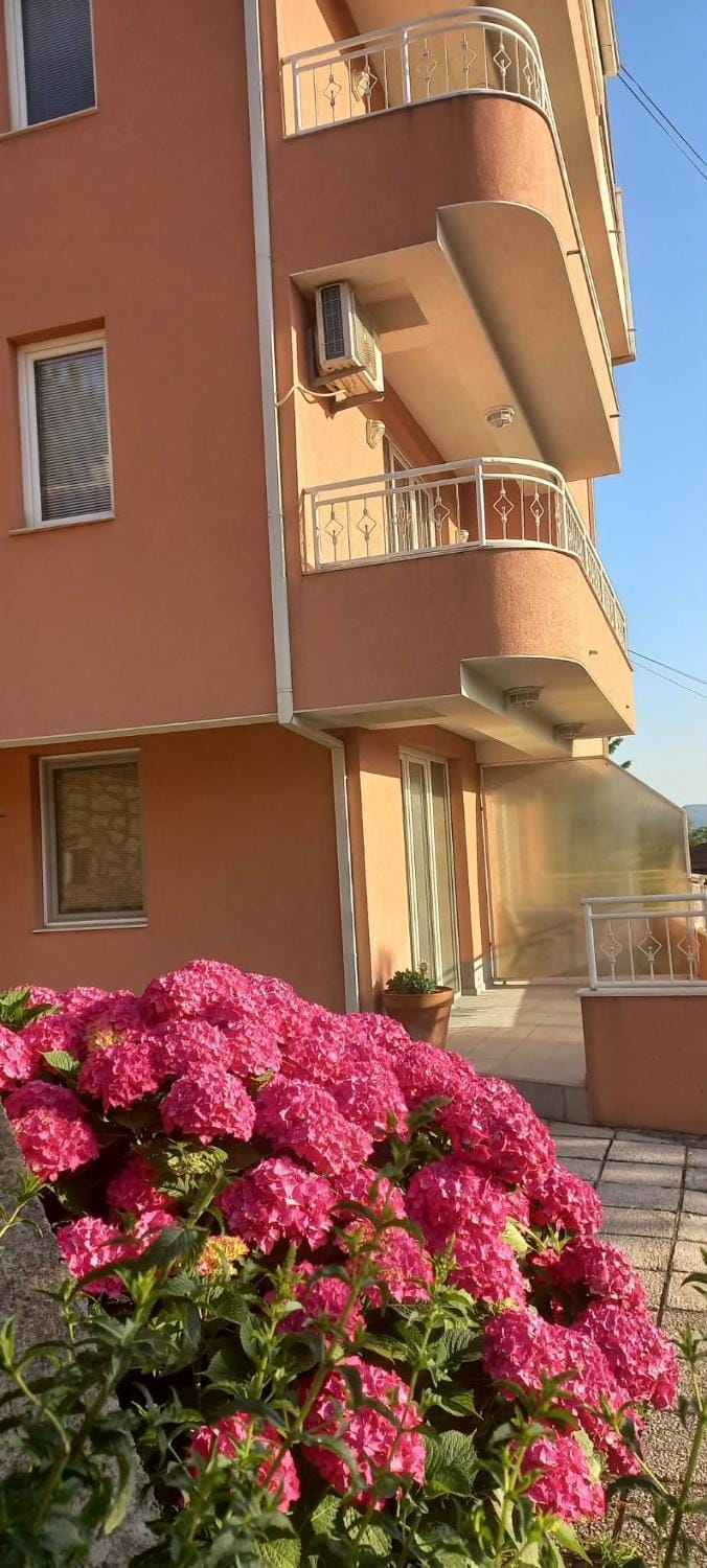 Property building, Balcony/Terrace