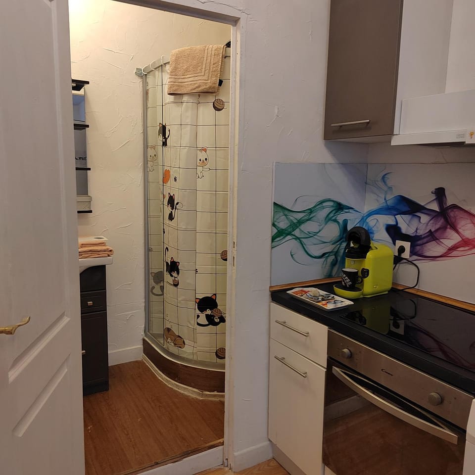 Studio plein centre Apartment in Auch