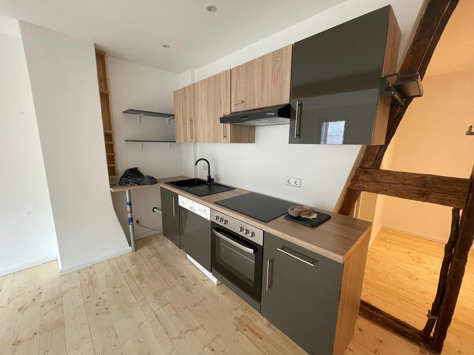 Kitchen or kitchenette, dishwasher, minibar, pet friendly, stove, toaster