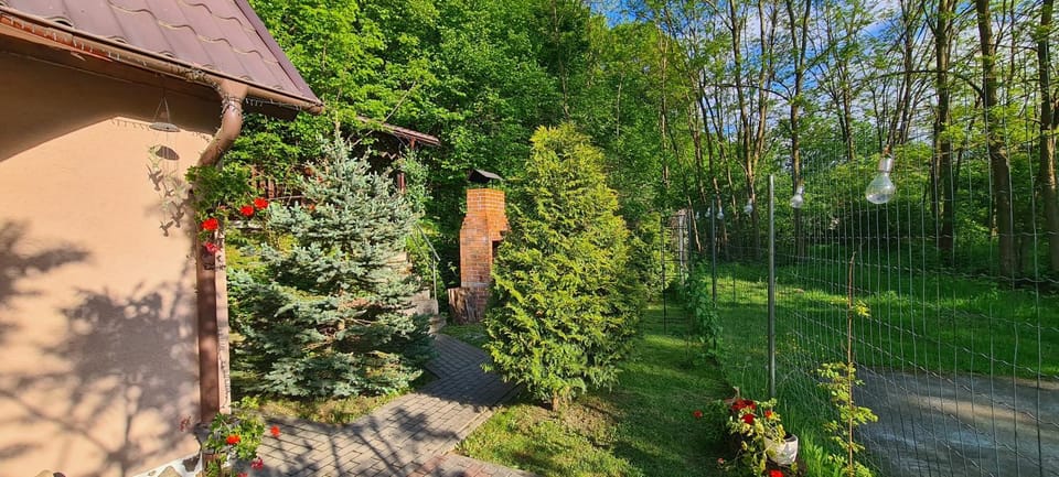 Casa Tera House in Romania