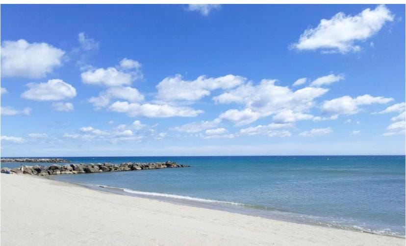 Accès direct, plage Apartment in Le Barcarès