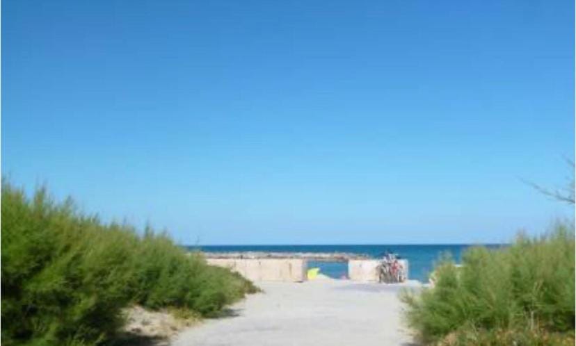 Accès direct, plage Apartment in Le Barcarès