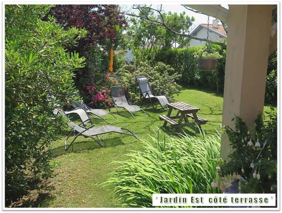 Garden, Balcony/Terrace, Garden view, sunbed