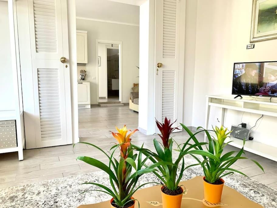 Roseto Beach Entire Apartment Apartment in Roseto degli Abruzzi