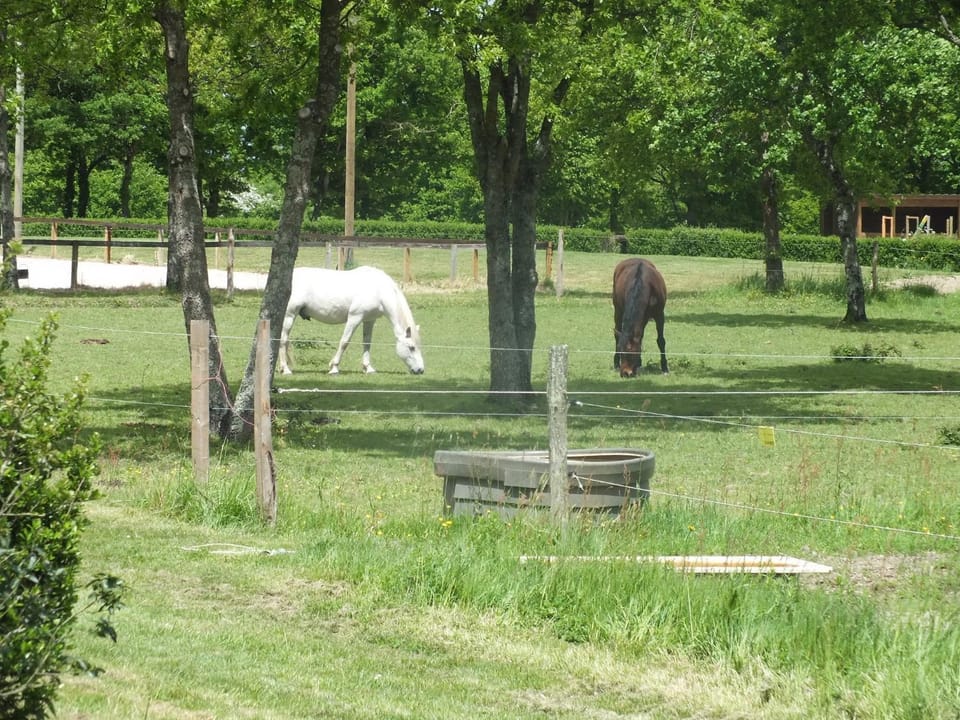 Area and facilities