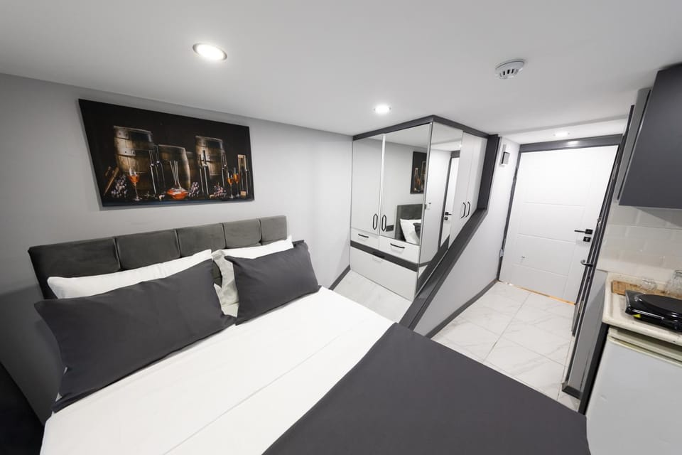 Bed, TV and multimedia, Living room, Photo of the whole room, Seating area, Bedroom