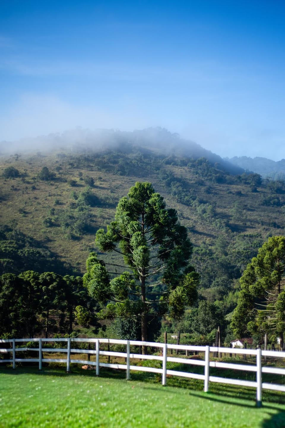 Pousada Pedra da Mata chalés na montanha Nature lodge in State of São Paulo